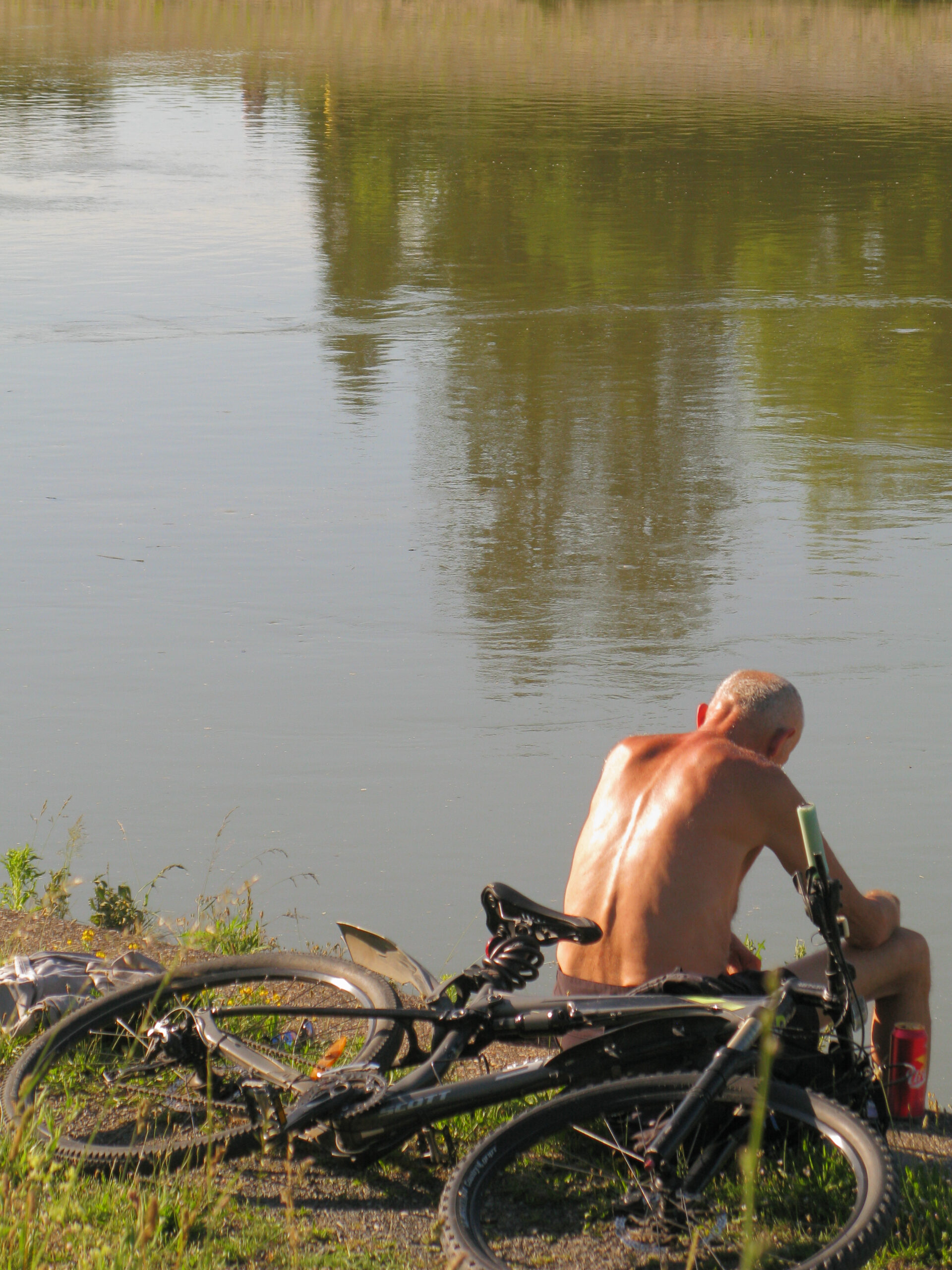 Sun-Warmed Pause